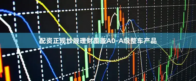 配资正规炒股理财覆盖A0-A级整车产品
