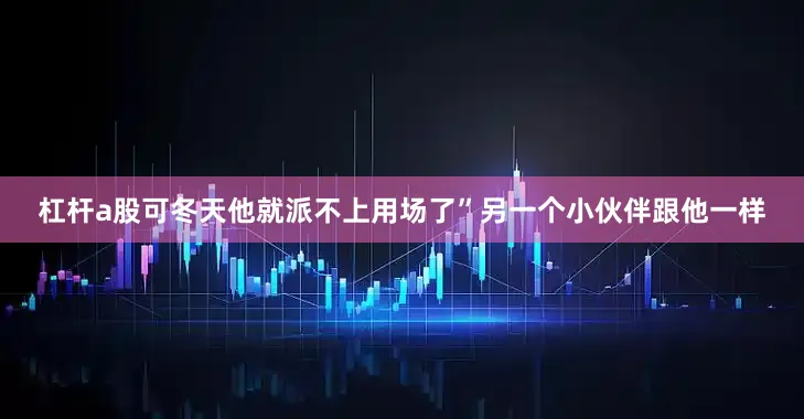 杠杆a股可冬天他就派不上用场了”另一个小伙伴跟他一样