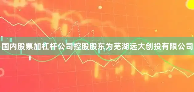 国内股票加杠杆公司控股股东为芜湖远大创投有限公司
