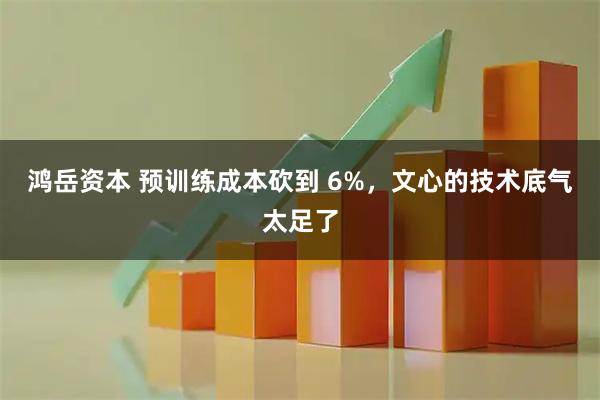 鸿岳资本 预训练成本砍到 6%，文心的技术底气太足了